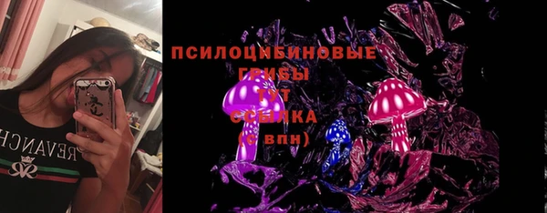 прущие крисы Вяземский