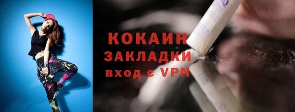 прущие грибы Володарск