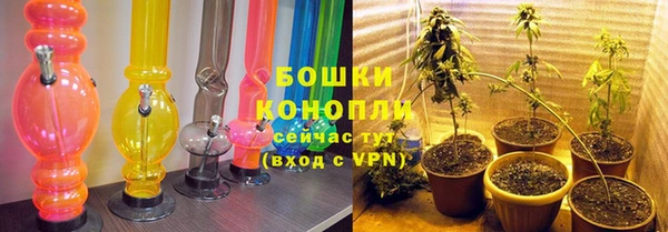прущие крисы Вяземский