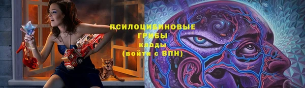 прущие крисы Вяземский